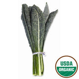 ORGANIC LACINATO KALE FROM MEXICO