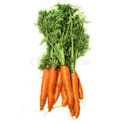 CARROTS BUNCH FROM USA