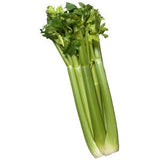 CELERY