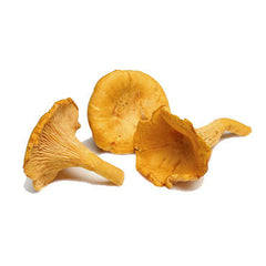 CHANTERELLE MUSHROOMS FROM USA