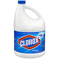 CLOROX BLEACH REGULAR