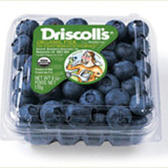 DRISCOLL'S ORGANIC BLUEBERRIES FROM CHILE