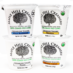 MAPLE HILL CREAMERY GRASS FED WILD BLUEBERRY YOGURT