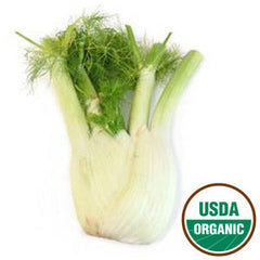 FENNEL ORGANIC FROM USA