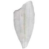 FLOUNDER FILLET FROM USA