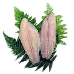 FRESH BASA FILLET FROM THAILAND