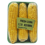 FRESH CORN