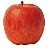 GALA APPLES