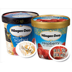 HAAGEN DAZS FAT FREE MANGO SORBET