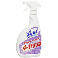 LYSOL MILDEW REMOVER WITH BLEACH