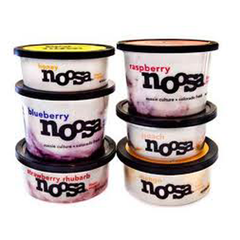 NOOSA BLUEBERRY YOGURT