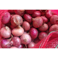 RED ONION - BAG