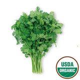 ORGANIC CILANTRO FROM USA