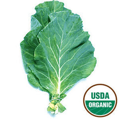 ORGANIC COLLARD GREENS FROM USA