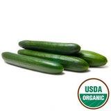 ORGANIC CUCUMBER ENGLISH FROM MEXICO