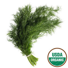 ORGANIC DILL FROM MEXICO