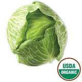 ORGANIC GREEN CABBAGE