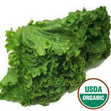 ORGANIC GREEN LEAF LETTUCE