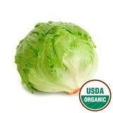 ORGANIC ICEBERG LETTUCE