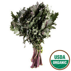 ORGANIC RED KALE FROM USA