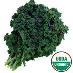 ORGANIC KALE BUNCH FROM USA