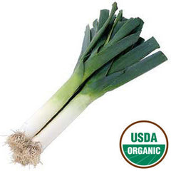 ORGANIC LEEKS FROM USA