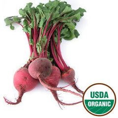 ORGANIC RED BEET BUNCH FROM USA