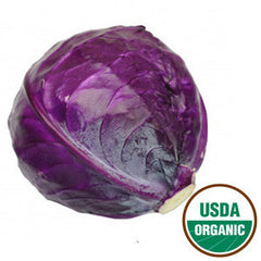 ORGANIC RED CABBAGE FROM USA