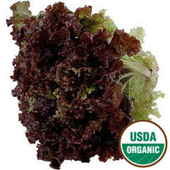 ORGANIC RED LEAF LETTUCE