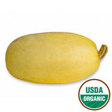 ORGANIC SPAGHETTI SQUASH