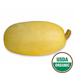 ORGANIC SPAGHETTI SQUASH