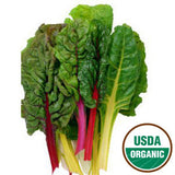 ORGANIC SWISS CHARD FROM USA