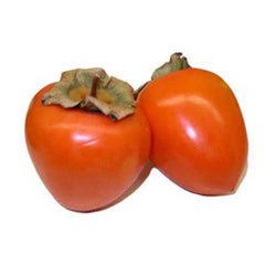 PERSIMMONS HACHIYA FROM USA