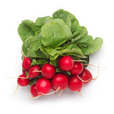 RADISH BUNCH FROM USA