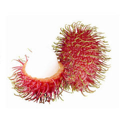 RAMBUTAN FROM MEXICO