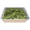 RAW BROCCOLI SALAD, MAYO, PARSLEY, SUGAR, SALT, BLACK PEPPER AND VINEGAR