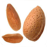 ROASTED SHELLED ALMONDS