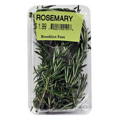 ROSEMARY