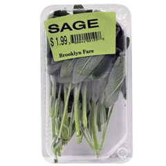 SAGE