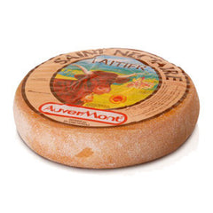 SAINT NECTAIRE CHEESE