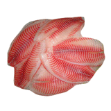 TILAPIA FILLET FROM ECUADOR