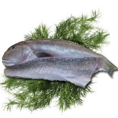 TILE FISH FILLET FROM USA