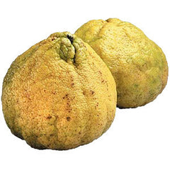 UGLI FRUIT FROM JAMAICA