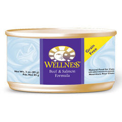 WELLNESS BEEF SALMON FORMULA