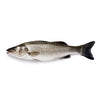 WHOLE BRANZINO FROM GREECE