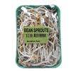 BEAN SPROUTS