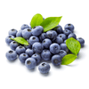 BLUEBERRIES