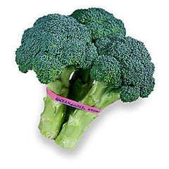 BROCCOLI BUNCH