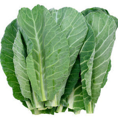 COLLARD GREENS FROM MEXICO