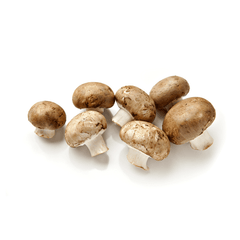 CREMINI MUSHROOMS FROM USA